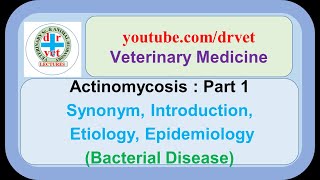 Actinomycosis Part 1 introduction etiology epidemiology [upl. by Rehtae]