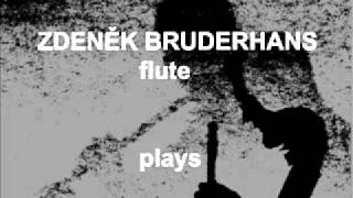 Neubauer  Trio in C for two Flutes and Viola [upl. by Bauske]