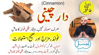 Daar Cheeni Ke Fawaid  Cinnamon Benefits in Urdu  Cholesterol Weight Loss Sugar Cancer Brain [upl. by Oirom]