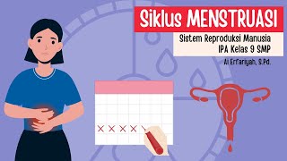 Siklus Menstruasi  SIstem Reproduksi Wanita [upl. by Nivonod]