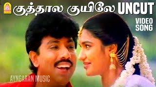 Kuthalakuyile  UnCut Video Song  குத்தாலக்குயிலே  Thirumathi Palanisamy  Sathyaraj Ilaiyaraaja [upl. by Morrell910]