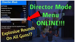 Private 2017 GTA5 Online Director Mode Glitch WORKING 2023 [upl. by Cherry369]