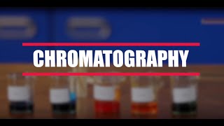 How To Do A Chromatography Experiment BBC Bitesize KS3 Chemistry [upl. by Remington]