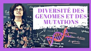 🧬 Diversité des mutations et génomes  Biologie prépa BCPST Terminale [upl. by Anesusa76]