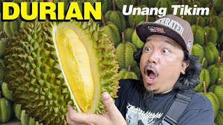 DURIAN Kaya Ko Ba  Bakit Hindi Makain Ng Iba  MayorTV [upl. by Sonitnatsok]