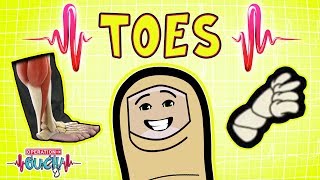 Operation Ouch  Tending to the Toes  Skeletal System [upl. by Ednew]