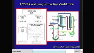 G Consales  Tailoring ECCO2R therapy is ARDS different from COPD [upl. by Aillicec90]