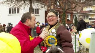 Fasnacht Reinach 2019 [upl. by Eelanna353]