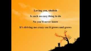 LOVING YOU BY NINA LYRICS [upl. by Eleanore]