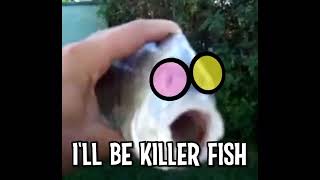 Killer fish from San Diego deltarune version [upl. by Orford658]