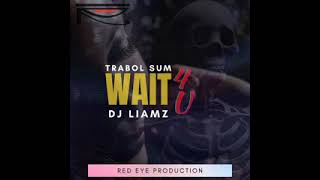 Wait 4 Trabol sum ft BLUNKZ DEE SINGLE [upl. by Follansbee]