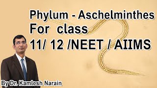 Phylum  Aschelminthes  Nemathelminthes  Nematoda class 11 12 NEET  AIIMS By DR KAMLESH NARAIN [upl. by Ahseinaj733]