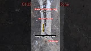 Quartz vein Vs calcite vein geology geologist vs shorts calcite veins acid rocks limestone [upl. by Christabelle927]