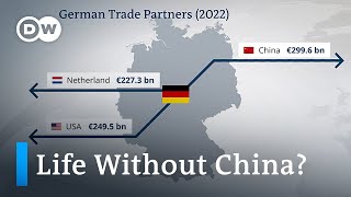 Study says decoupling from China wouldnt spell disaster for the German economy  DW News [upl. by Underwood]