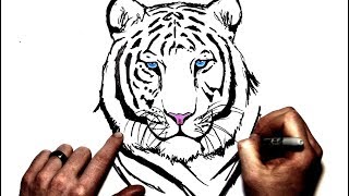 How to Draw a White Tiger  Step By Step [upl. by Nisotawulo276]