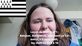 Leçon de Breton 1  Quelques mots de vocabulaire  les chiffres de 0 à 10 [upl. by Stodder]