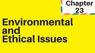 62 Environmental and Ethical Issues IGCSE Business Studies [upl. by Elleinod]