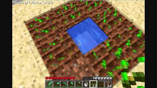 MineCraft Tutorial How to plant amp grow crops [upl. by Terrilyn988]