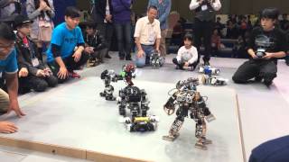 Korea International Robot Contest 2014  Rumble [upl. by Aneerb]