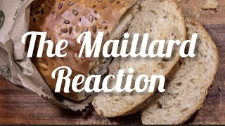 What is Maillard Reaction  Mechanism of Maillard Reaction maillardreaction [upl. by Lledraw645]