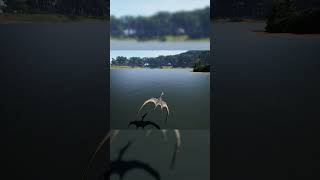 🦕 The isle Evrima Habilidades para el PVE🦖 theisle pteranodon gallimimus dinosaurios [upl. by Reinert]