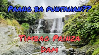 May ganito pala sa BiÃ±an Laguna  Timbao Prinza Dam [upl. by Boyes]