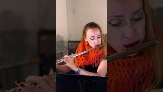 Gariboldi  Op 132 No 8 flute atlanta etude [upl. by Aiekal590]