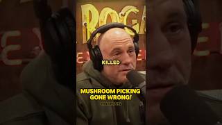 Horrific Nursing Home Incident joerogan [upl. by Short]