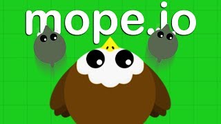 AMAZING New BALD EAGLE ANIMAL  Mopeio Gameplay [upl. by Huxham407]