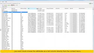 LEX Tutorial  Attribute columns in LDAP object lists [upl. by Roldan]