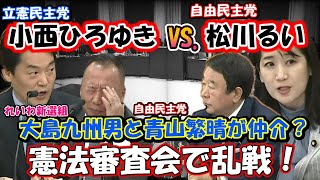 【小西ひろゆきVS松川るい憲法審査会で乱戦！】大島九州男と青山繁晴が仲介？ [upl. by Acinej]