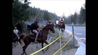 Tevis Cup Ride 2013  Highway 89 Crossing [upl. by Amelina]