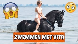 KAN VITO ZWEMMEN  PaardenpraatTV [upl. by Gerianne]