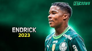 Endrick 2023 ● Palmeiras ► Magic Skills amp Goals  HD [upl. by Aizan]