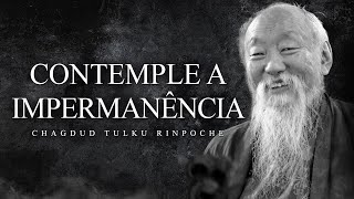 Chagdud Tulku Rinpoche  Contemple a Impermanência [upl. by Kenneth107]