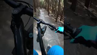 Roll the trail Klinovec Rubin mtb mtblife bike bikepark downhill enduro mountainbike fun [upl. by Enovahs]