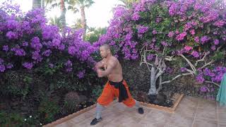 Shaolin Monk Traditional Power Workout [upl. by Quar]