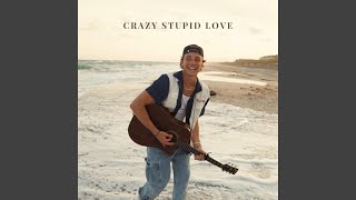 Crazy Stupid Love [upl. by Favianus]