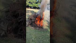 Burning branches Kyneton 23rd June 2024 [upl. by Notnilc941]