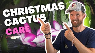 Dont be a Grinch Tips for Christmas Cactus Care [upl. by Oizirbaf]