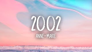 AnneMarie  2002 Lyrics [upl. by Ohploda]