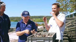 South Coast NSW oyster documentary with Paul West amp farmers [upl. by Fidellas]