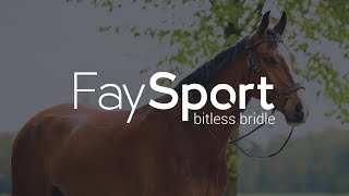 PresTeq FaySport bitless bridle three different ways of riding bitless [upl. by Aridaj706]