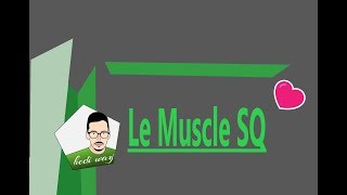 Le Muscle SQ  Part 1  bac tunisie [upl. by Orenid]