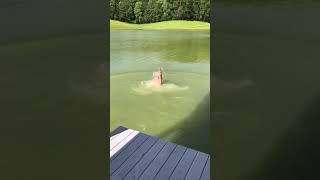 Diving In Pond For A Snake [upl. by Trace]