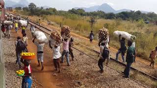 Train trip from Nampula to Cuamba [upl. by Abad615]