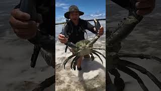 GIANT MUDCRAB barehanded catch for ISLAND SURVIVAL [upl. by Stilwell211]