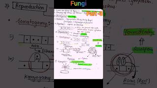 SEEP MAM Kingdom Fungi Class 11th Botany neetnotes neetkineevneet2025 [upl. by Nalid]