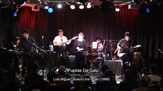 Luis Miguel  Pupilas de gato Cover Live in Tokyo Japan [upl. by Roche]