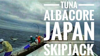 TUNA ALBACORE JAPAN FISHING DOCUMENTARY [upl. by Aynotahs]